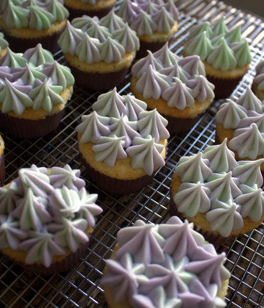 lemon raspberry cupcakes with a vanilla bean cream cheese frosting