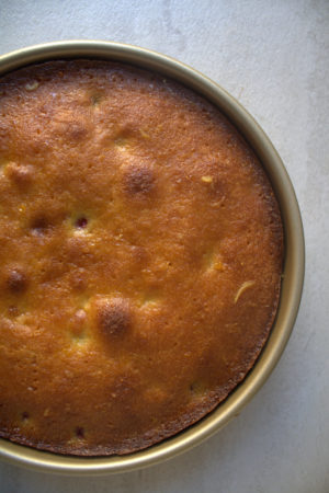 Orange Cranberry Polenta Cake